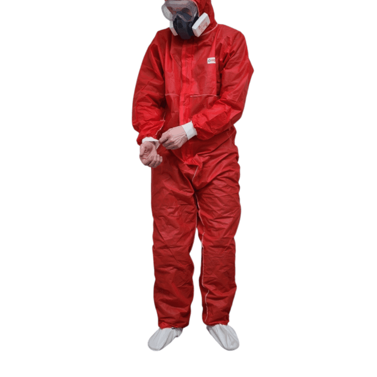 Photoroom 20250205 160206 3